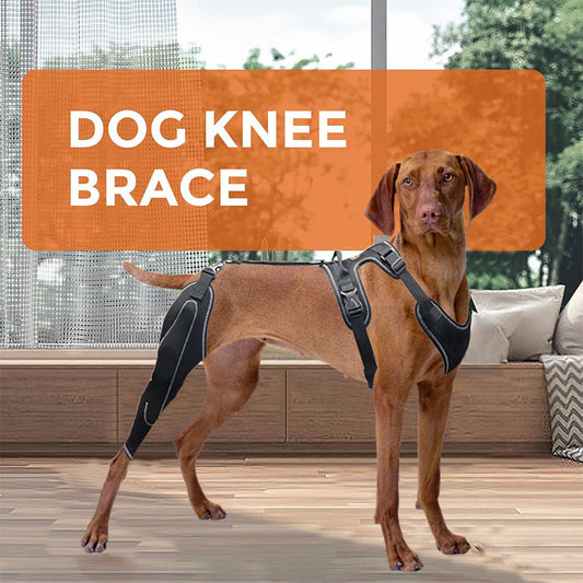 Canine Leg Guard Post-Surgery Support Adjustable Metal Brace Thigh