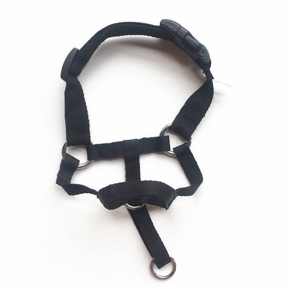Pet Canine Snout Guard Stretchable Chew-proof Mesh Face Shield