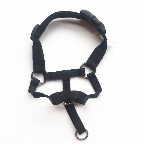 Pet Canine Snout Guard Stretchable Chew-proof Mesh Face Shield