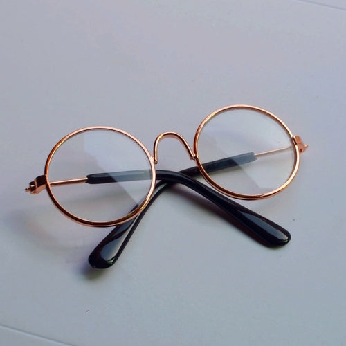 Canine picture spectacles
