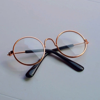 Canine picture spectacles