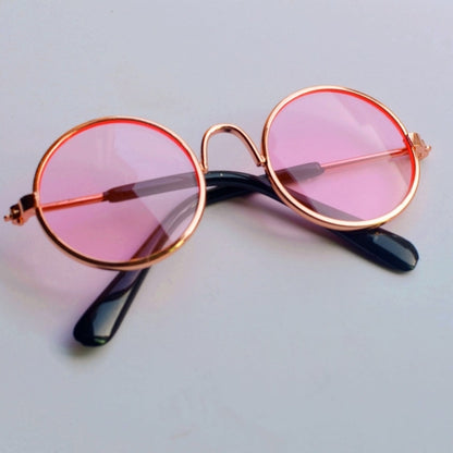Canine picture spectacles