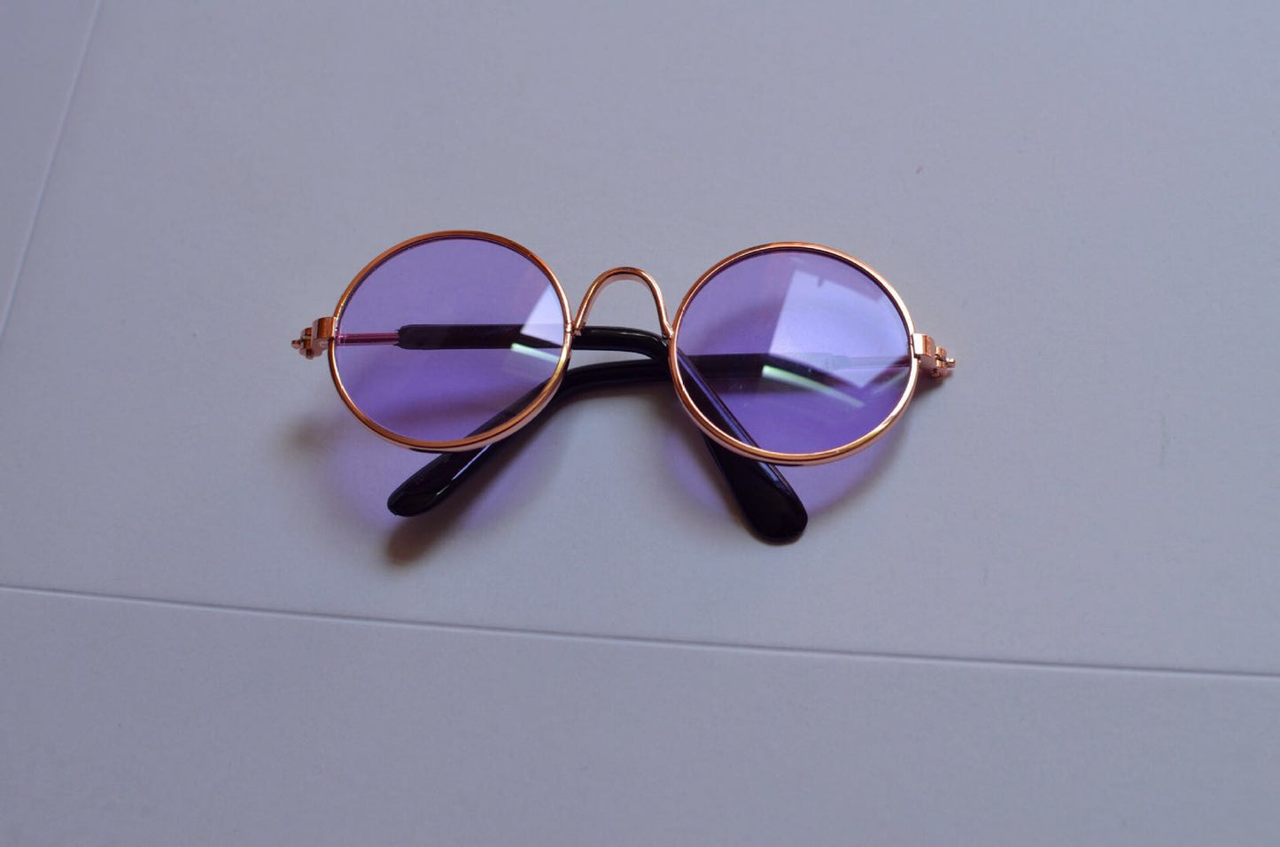 Canine picture spectacles