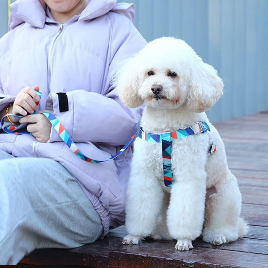 Canine Gear Vest Printing Transport Leash Bundle