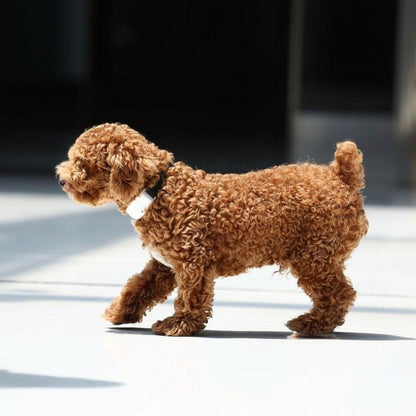Canine pest deterrent