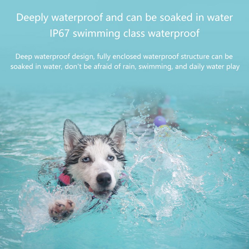 Intelligent animal tracker