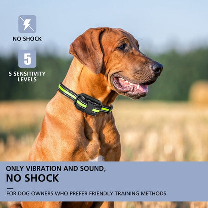 Noisy Pet Neckband