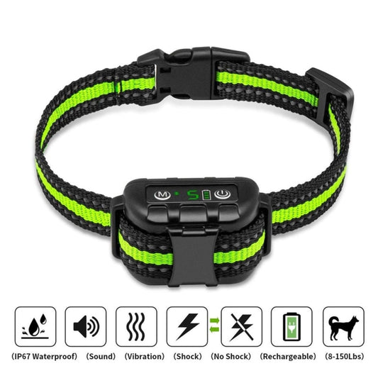 Noisy Pet Neckband