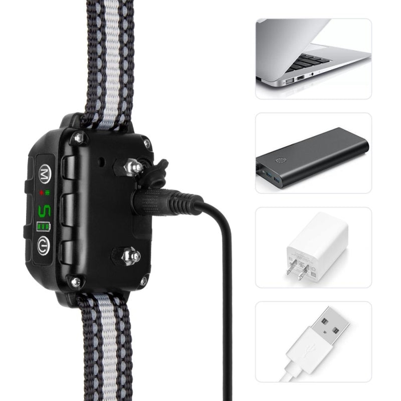 Noisy Pet Neckband