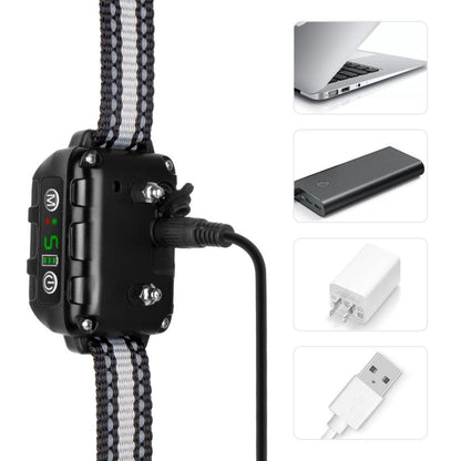 Noisy Pet Neckband