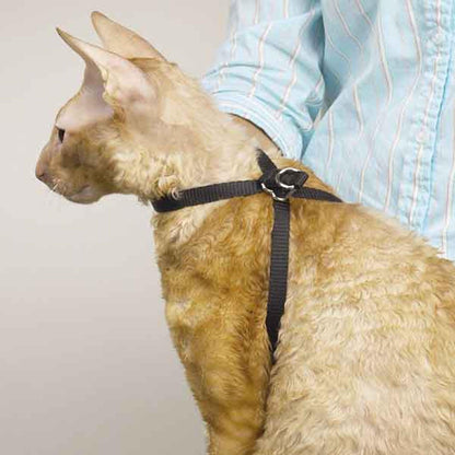 Adjustable Nylon Cat Harness - 40 Inch for Comfortable Grooming