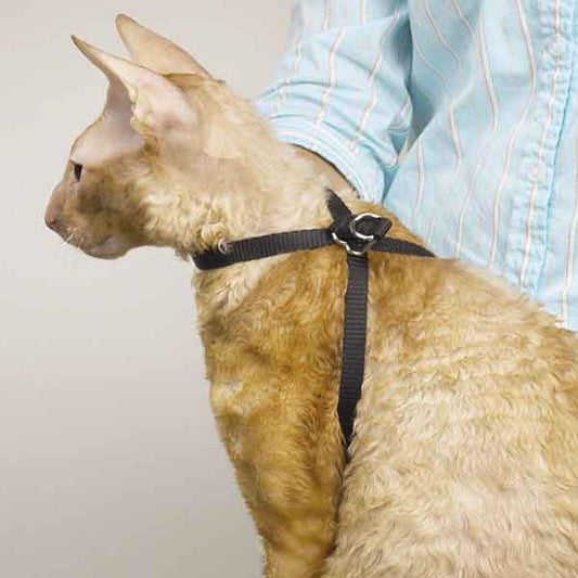 Adjustable Nylon Cat Harness - 40 Inch for Comfortable Grooming