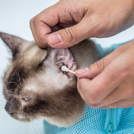 Adjustable Pet Soft Cat Grooming Bag: The Ultimate Multifunctional