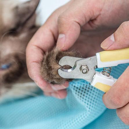 Adjustable Pet Soft Cat Grooming Bag: The Ultimate Multifunctional