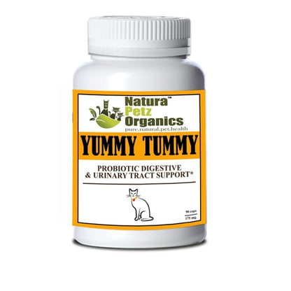 Advanced Probiotic Support for Digestive and Urinary Health in Pets