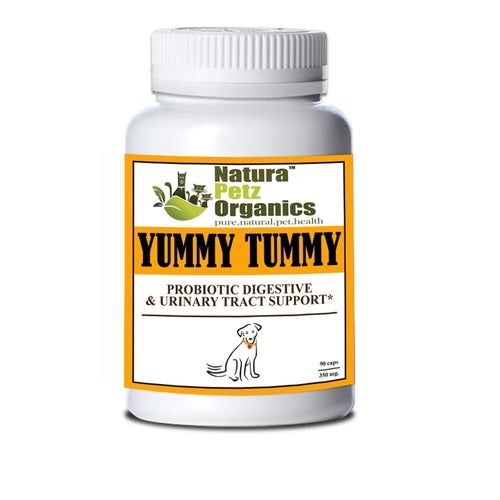 Advanced Probiotic Support for Digestive and Urinary Health in Pets