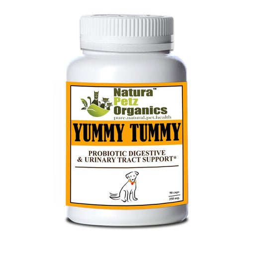 Advanced Probiotic Support for Digestive and Urinary Health in Pets