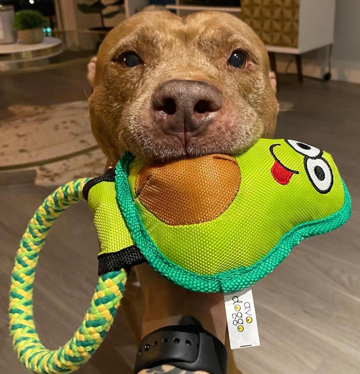 Avo Doggo: Premium Durable Avocado Dog Toy
