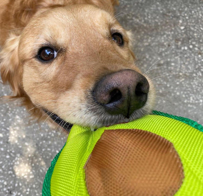 Avo Doggo: Premium Durable Avocado Dog Toy