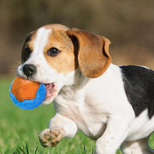Glowing Audible Dog Toy Ball - Floatable, Teeth-Grinding Pet Toy