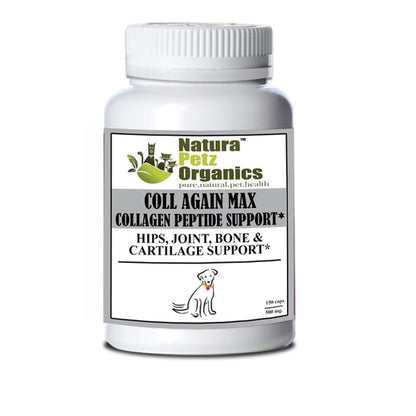 Coll Again Max Collagen Peptide Support for Joint and Bone Health in