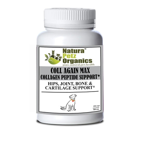 Coll Again Max Collagen Peptide Support for Joint and Bone Health in