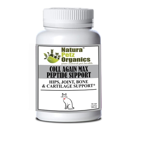 Coll Again Max Collagen Peptide Support for Joint and Bone Health in