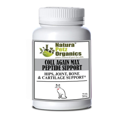 Coll Again Max Collagen Peptide Support for Joint and Bone Health in