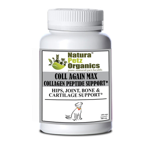 Coll Again Max Collagen Peptide Support for Joint and Bone Health in