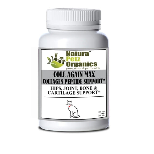 Coll Again Max Collagen Peptide Support for Joint and Bone Health in