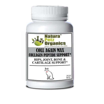Coll Again Max Collagen Peptide Support for Joint and Bone Health in
