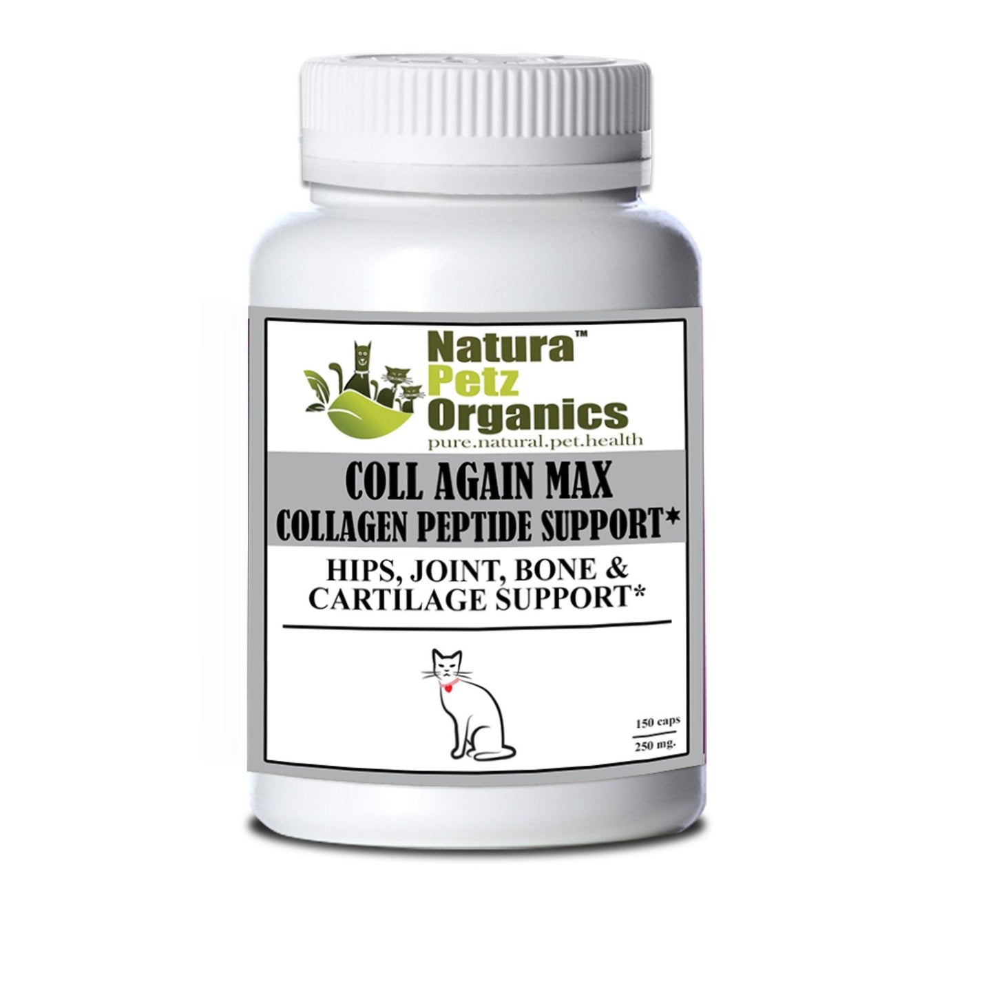 Coll Again Max Collagen Peptide Support for Joint and Bone Health in