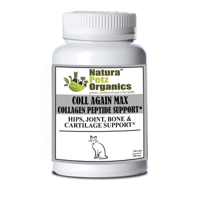 Coll Again Max Collagen Peptide Support for Joint and Bone Health in