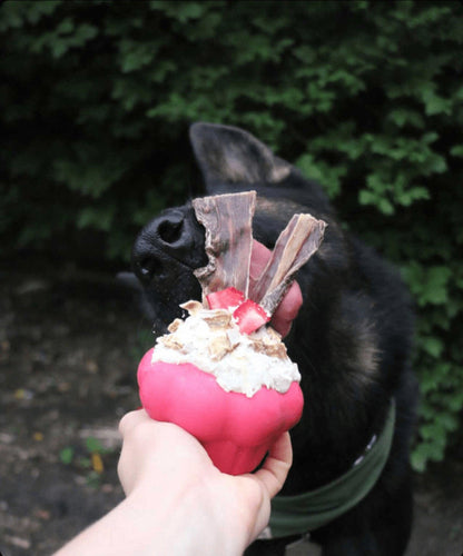 Cupcake Chew Toy & Treat Dispenser for Dogs