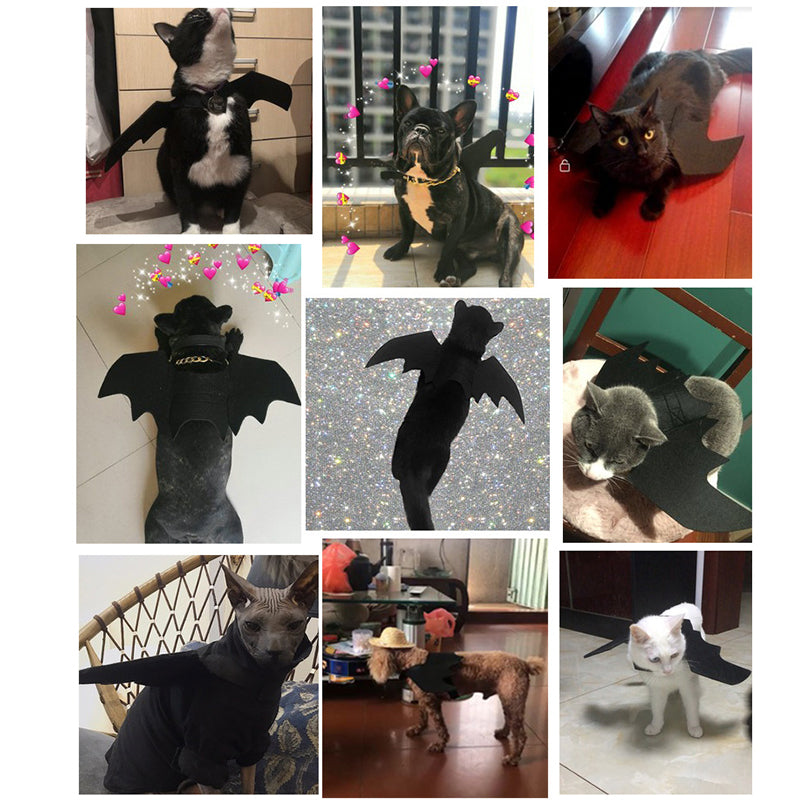 Halloween Pet Costumes Bat Wing with Tinkle bell