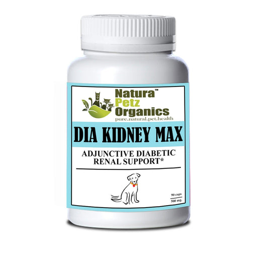 Dia Kidney Max Capsules for Enhanced Renal Support in Diabetic Pets